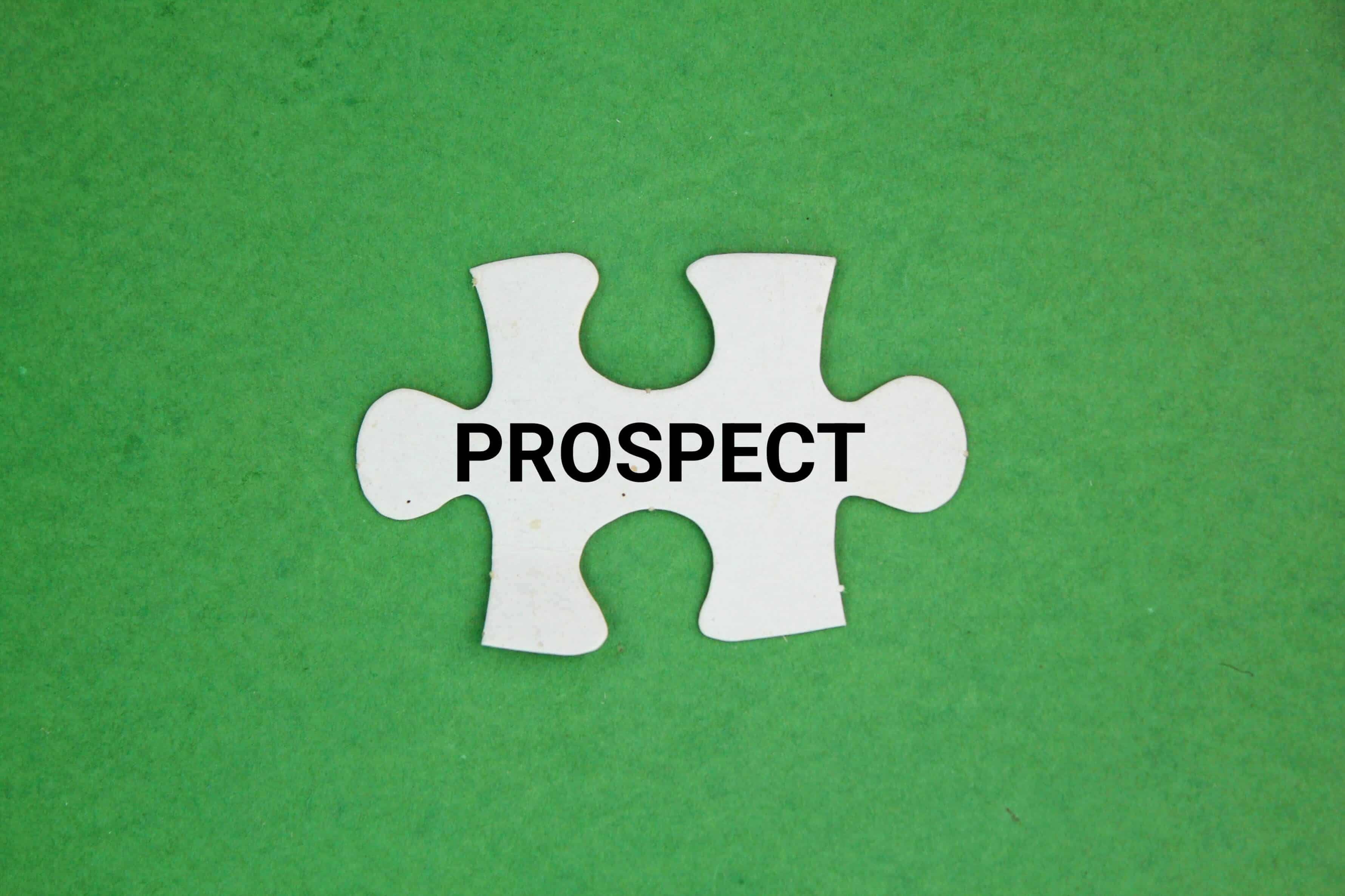 Prospect puzzle piece
