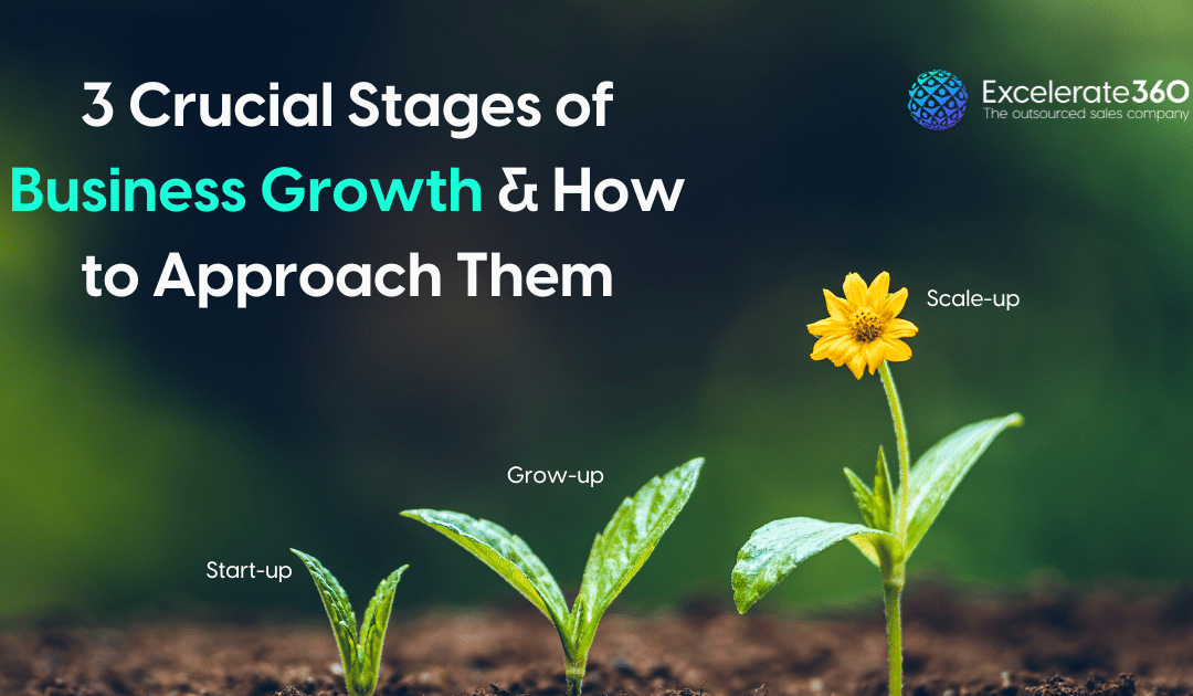 3 Crucial Stages of Business Growth & How to Approach Them