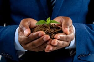 Businessman holding a growing seedling