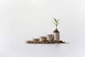 Money growing with a growing plant in the last money